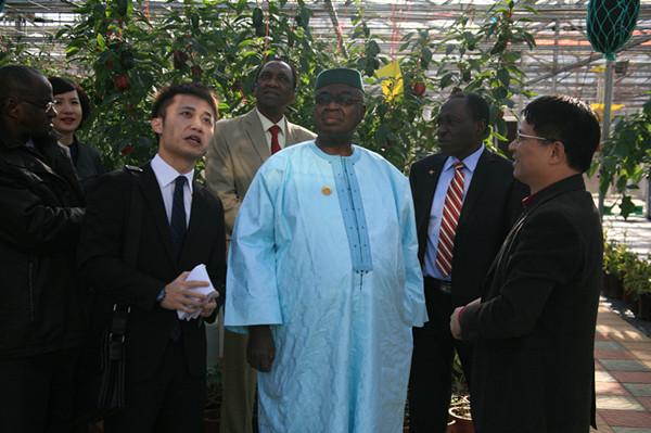 Delegation of Economic & Social and Cultural Council of Mali Visited GDAAS